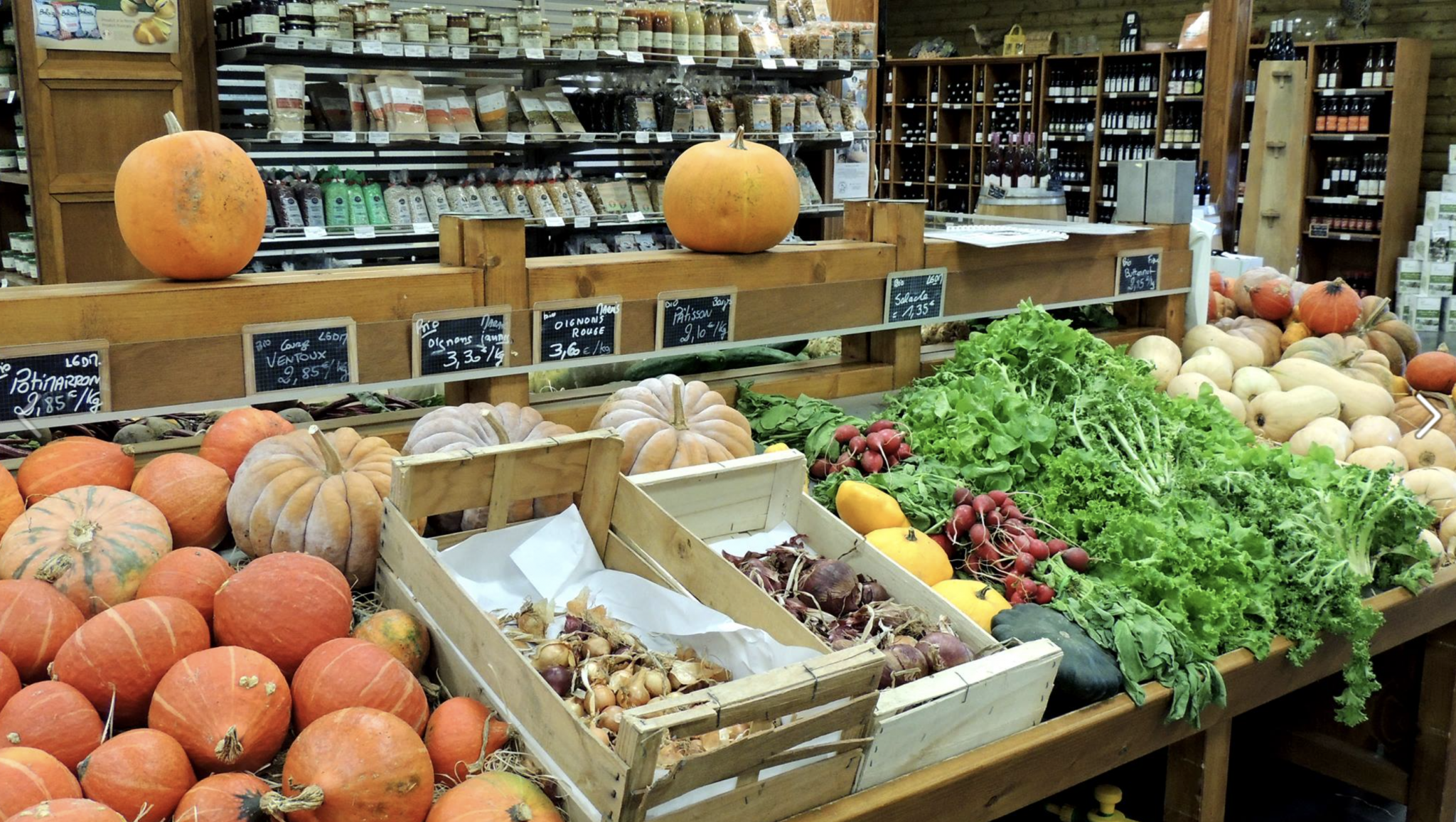Biocoop - Les légumes c'est pas que l'été ! Découvrez les légumes insolites  d'hiver dans vos magasins en janvier !